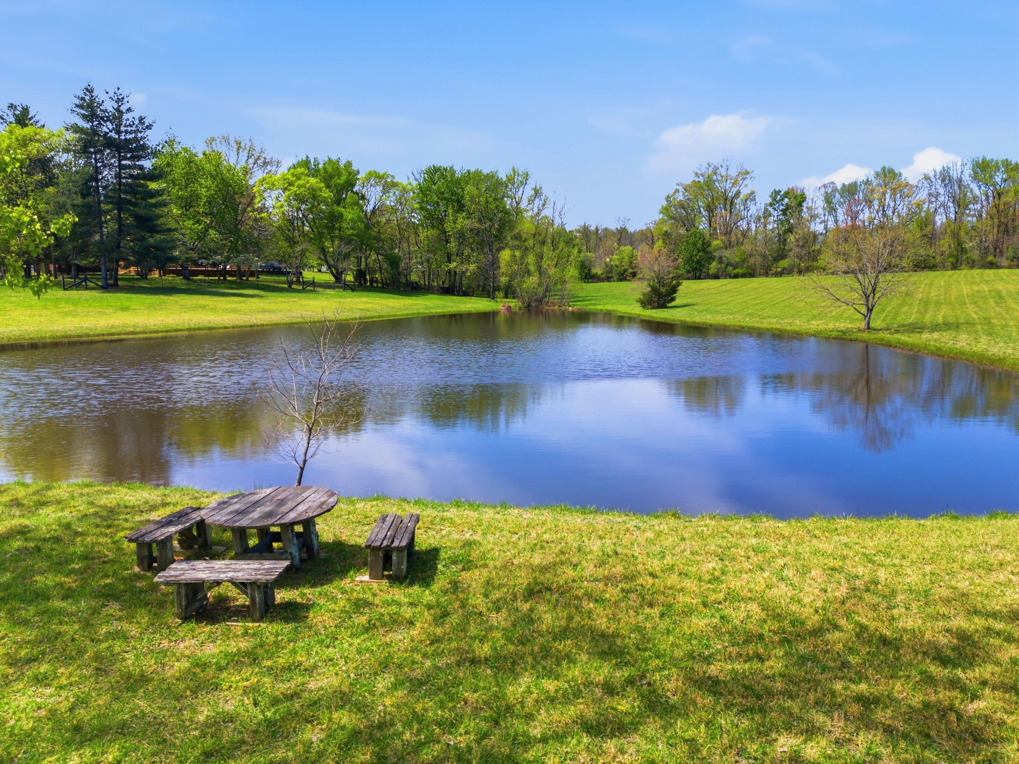 8270 Bethlehem Road Springfield, TN 37172 - Photo 47 of 51