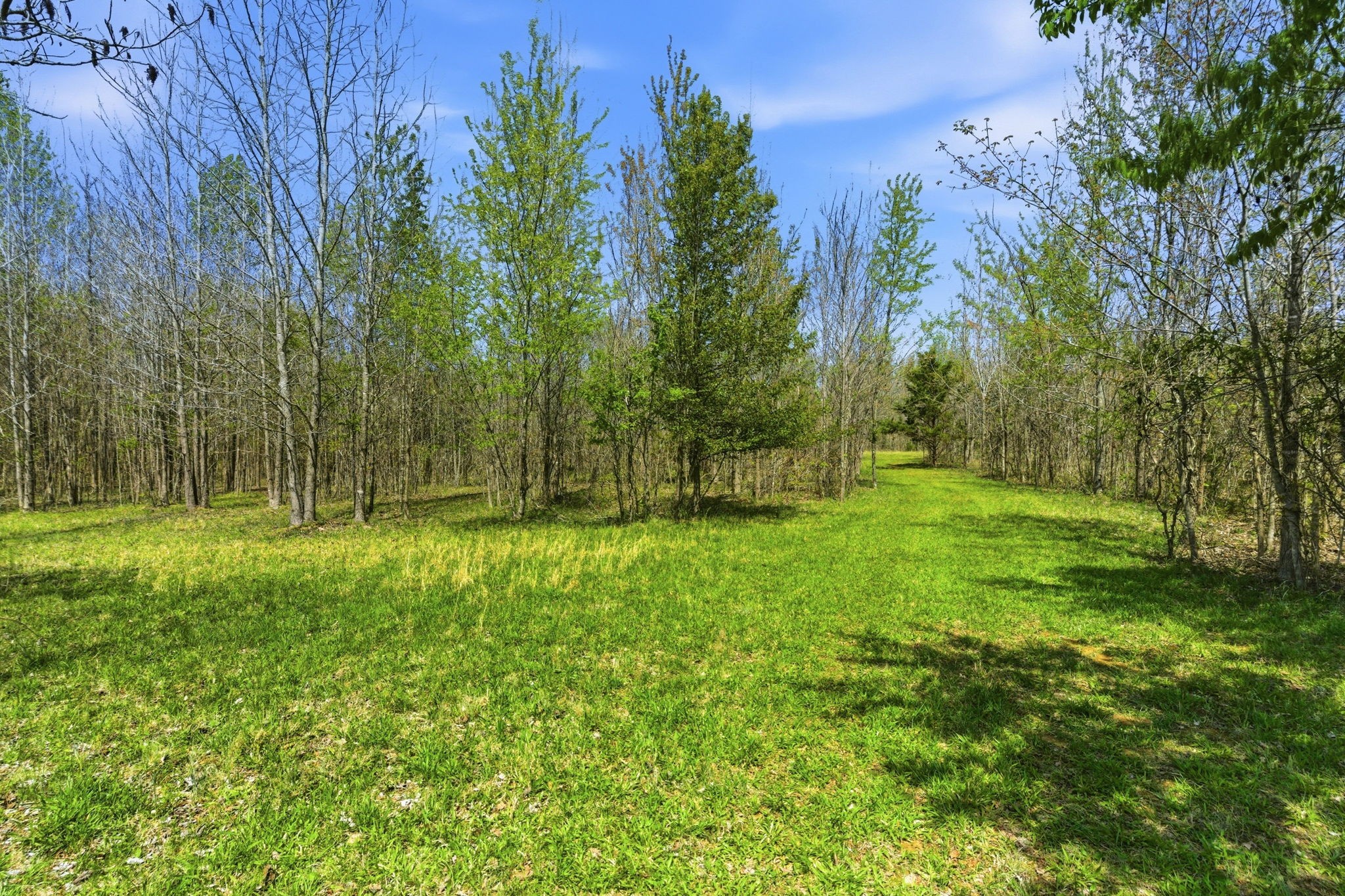 8270 Bethlehem Road Springfield, TN 37172 - Photo 49 of 51