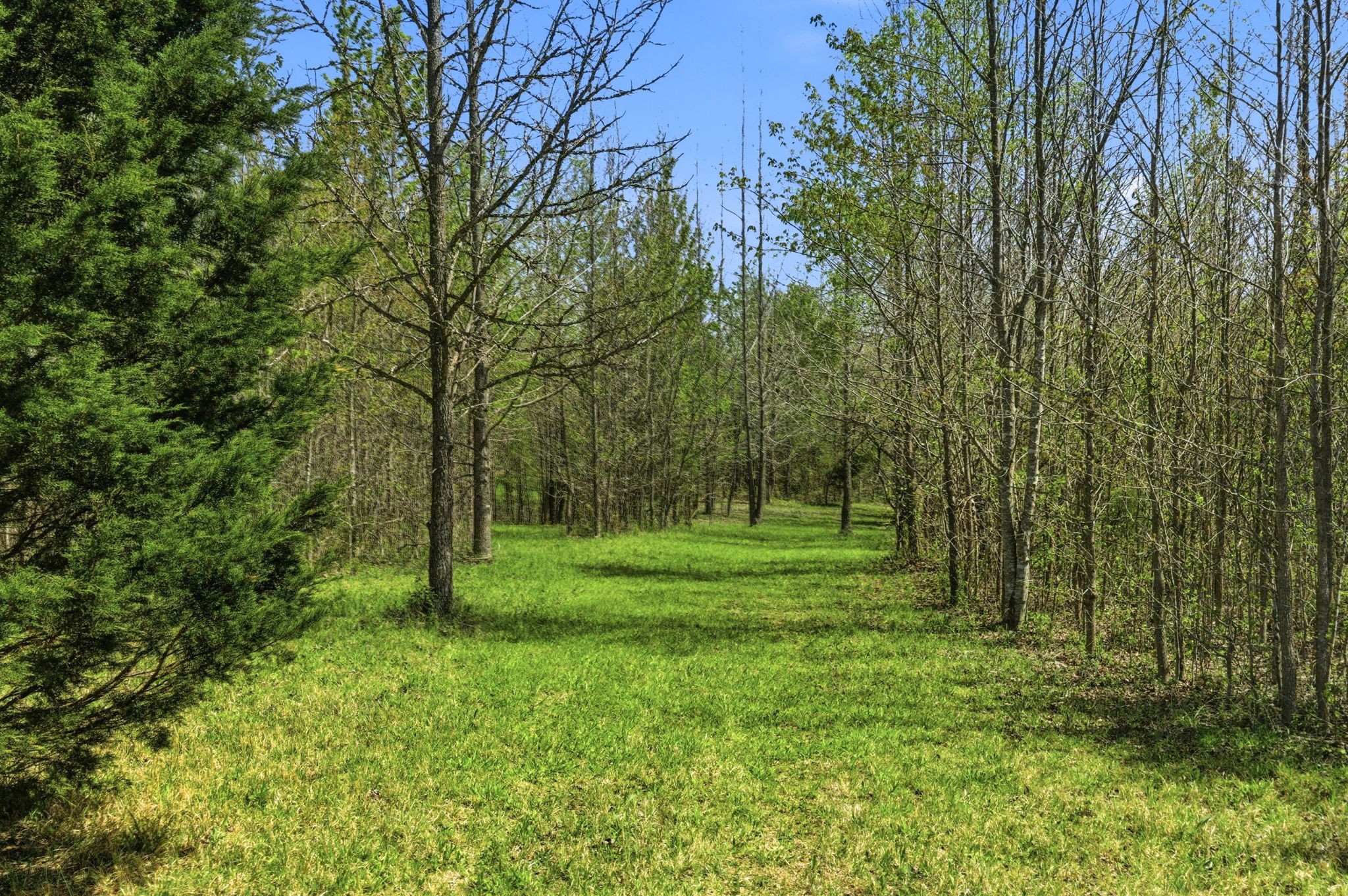 8270 Bethlehem Road Springfield, TN 37172 - Photo 50 of 51