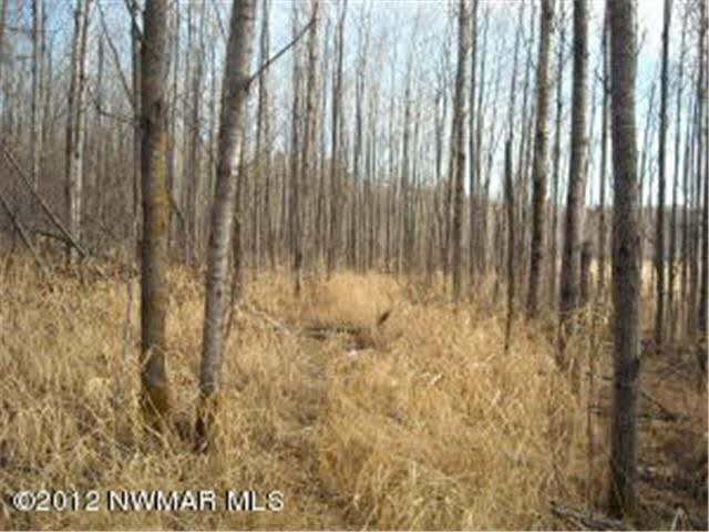 330th Street Bagley, MN 56621 - Photo 16 of 19 Gallery Image 16