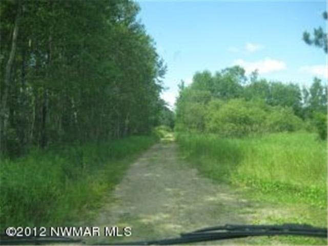 330th Street Bagley, MN 56621 - Photo 7 of 19 Gallery Image 7