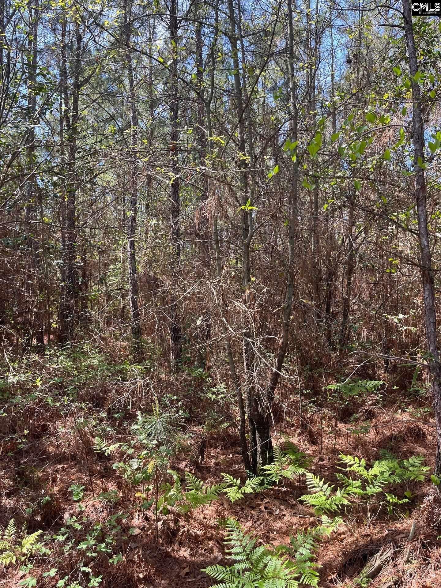 2 Beaver Dam Road Cassatt, SC 29032 - Photo 2 of 9