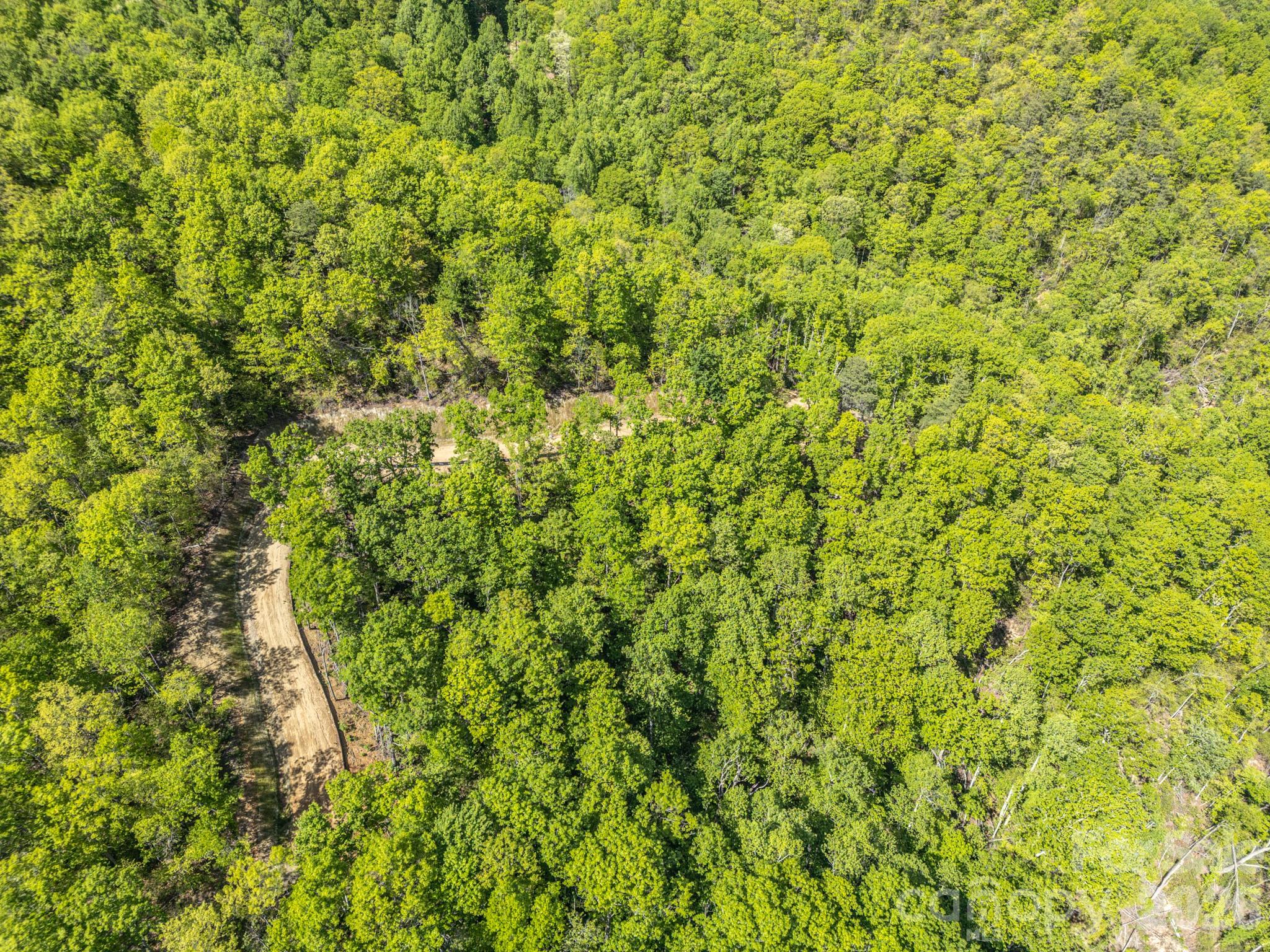 10.1-acres On Old Fort Road Fairview, NC 28730 - Photo 18 of 28 a view of a lush green field