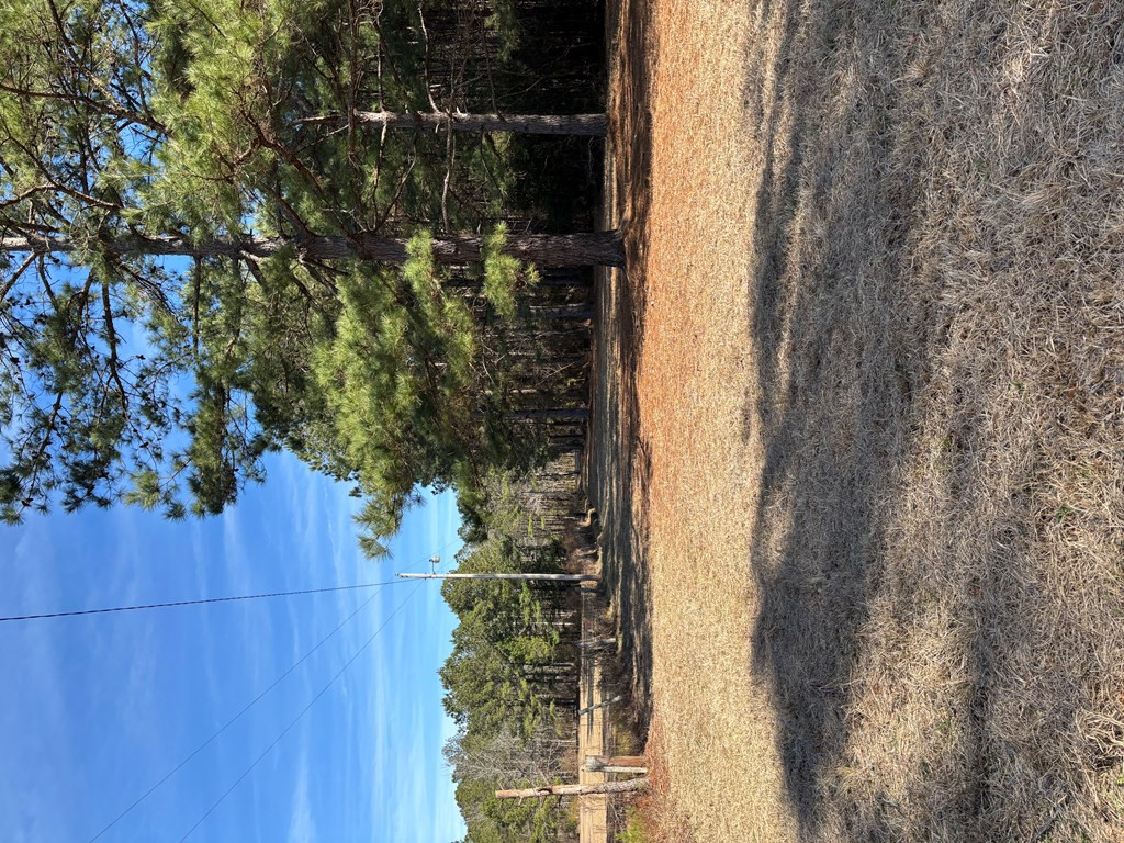 2018 South Brewington Road Manning, SC 29102 - Photo 13 of 13 Gallery Image 13