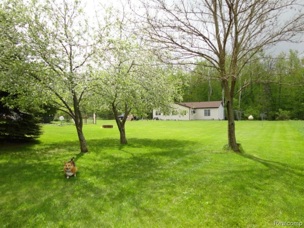 3767 Daley Road Attica, MI 48412 - Photo 14 of 29