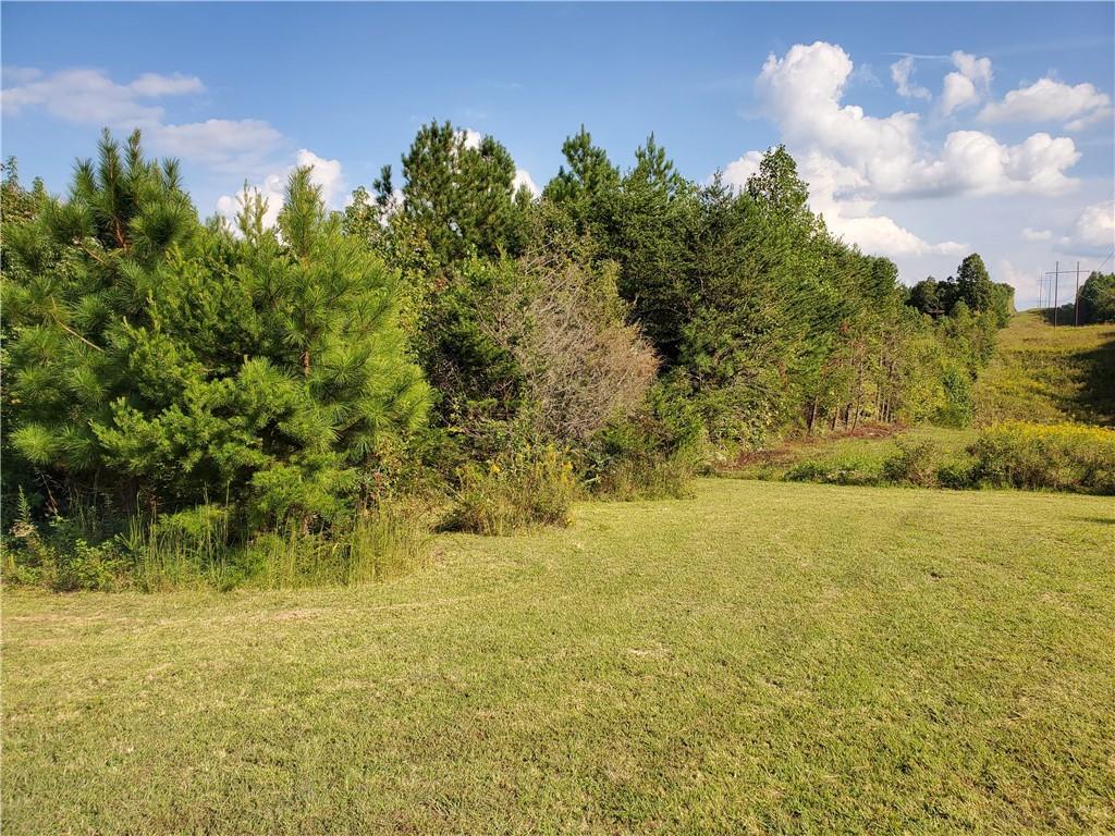 Hicks Lane Rice, VA 23966 - Photo 1 of 13 Gallery Image 1
