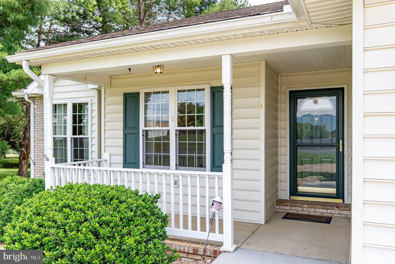 849 South Ox Road Woodstock, VA 22664 - Photo 3 of 51 Charming entryway with lush greenery.