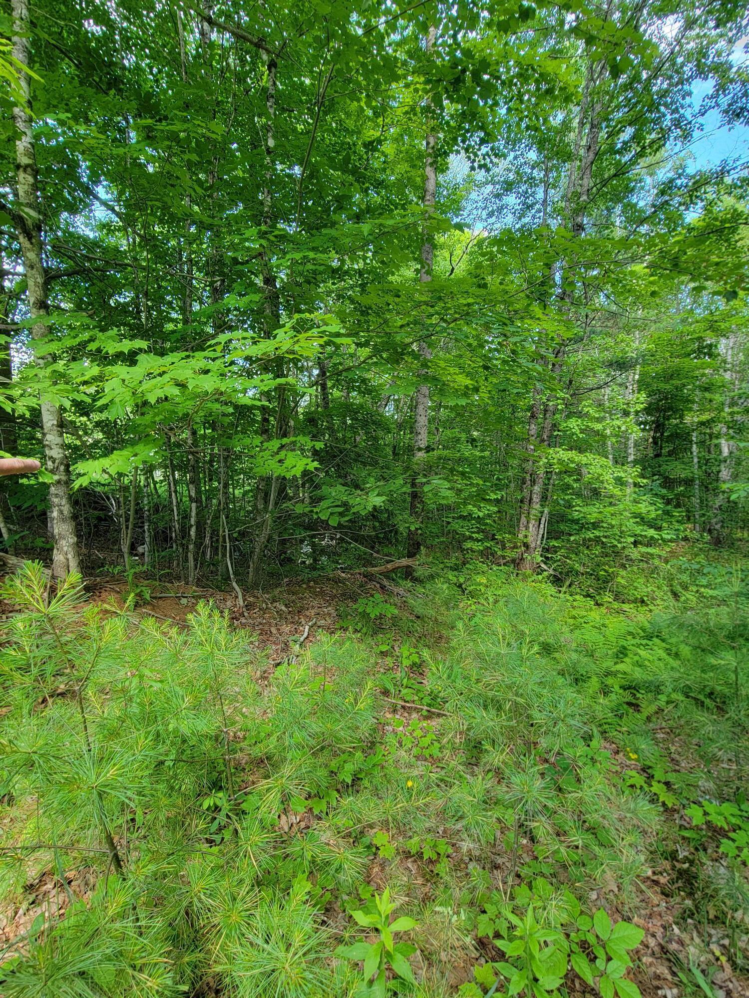 477 Hadley Mill Road Jackson, ME 04921 - Photo 31 of 32