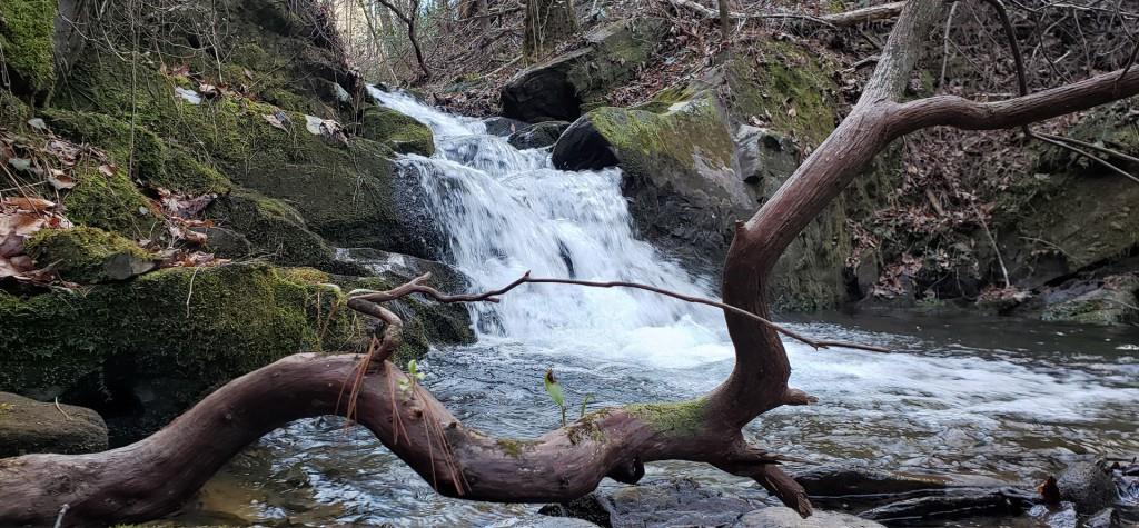 1009 North Cut Drive Ranger, GA 30734 - Photo 15 of 15 a view of a couches in the patio
