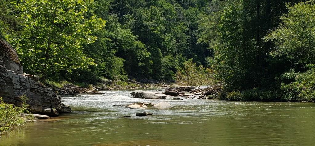 1009 North Cut Drive Ranger, GA 30734 - Photo 8 of 15 a view of a lake with a tree