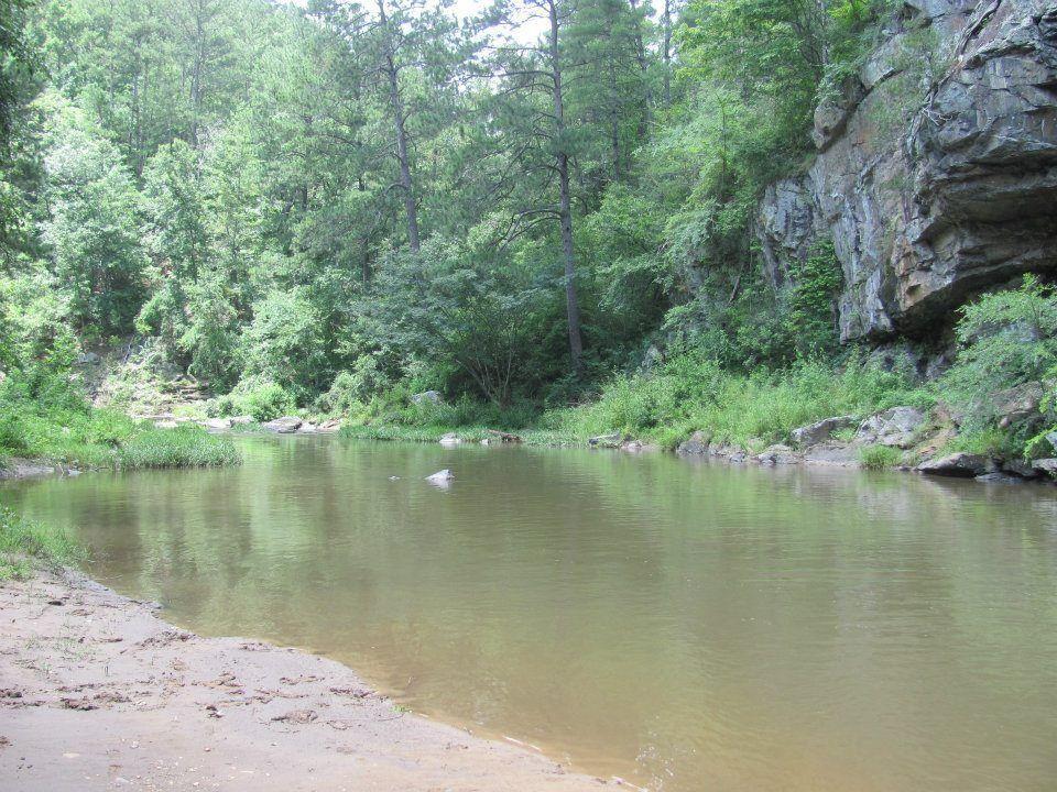 1009 North Cut Drive Ranger, GA 30734 - Photo 10 of 15 a view of a lake with a forest