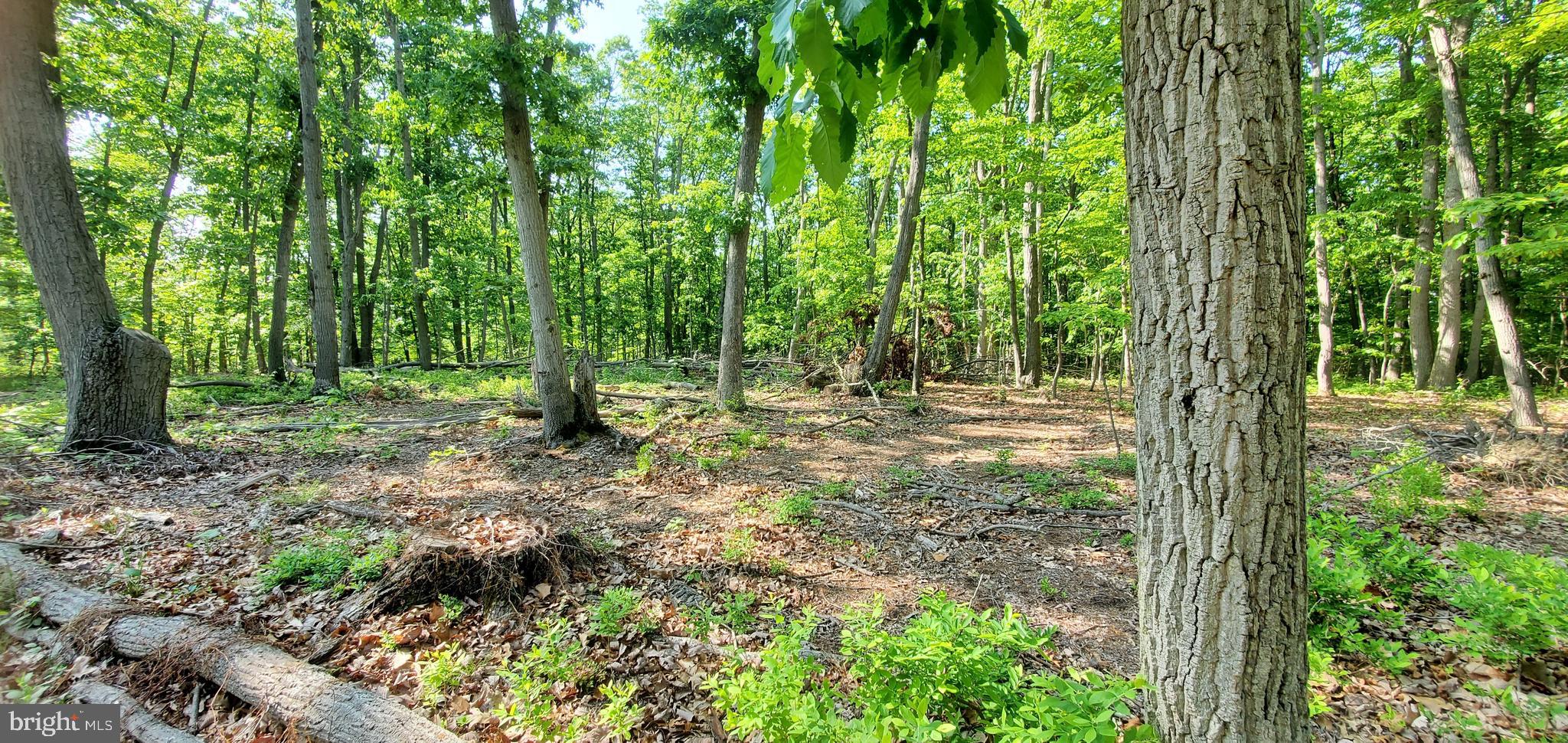 391 Principio Road Port Deposit, MD 21904 - Photo 1 of 5 Gallery Image 1