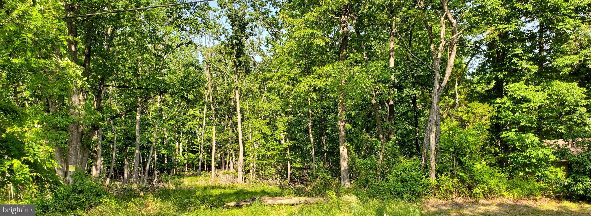 391 Principio Road Port Deposit, MD 21904 - Photo 2 of 5 Gallery Image 2