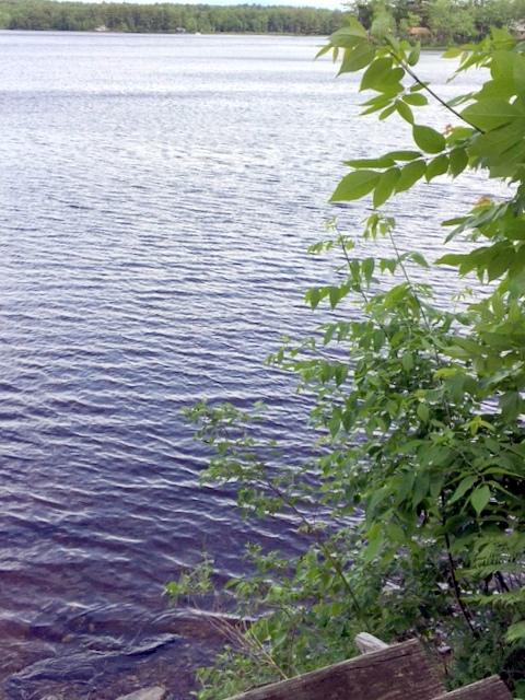 2 White Fish Road Winslow, ME 04901 - Photo 27 of 30 Pattee Pond