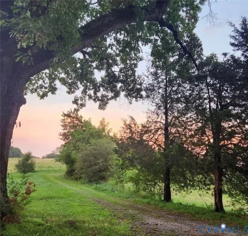 a view of a yard with a tree