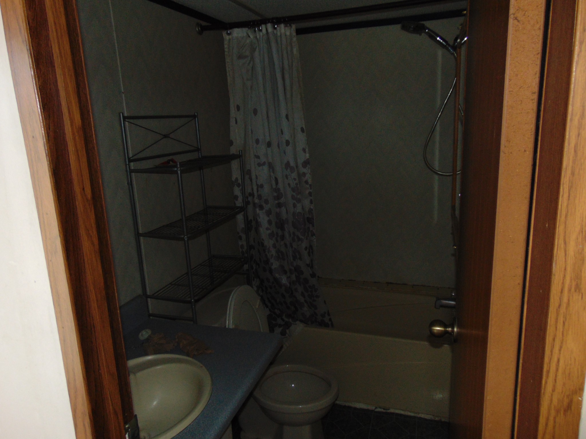 1361 Yell Road Lewisburg, TN 37091 - Photo 11 of 24 a bathroom with a shower and toilet