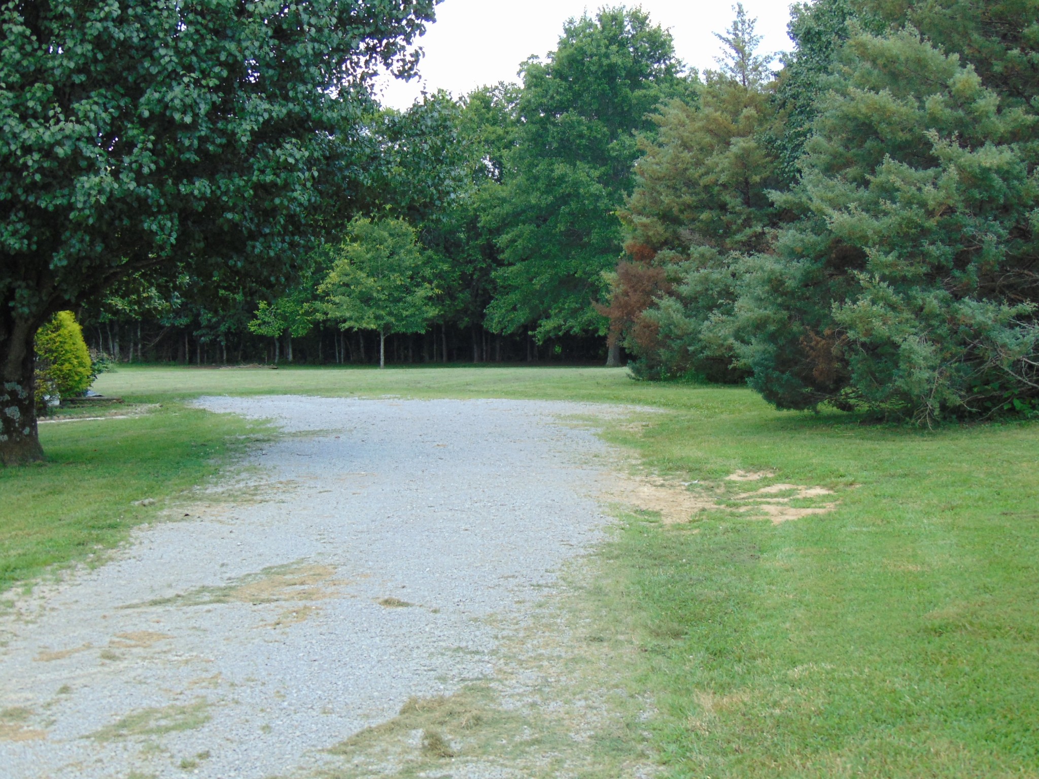 1361 Yell Road Lewisburg, TN 37091 - Photo 19 of 24 a view of a field with a trees in the background