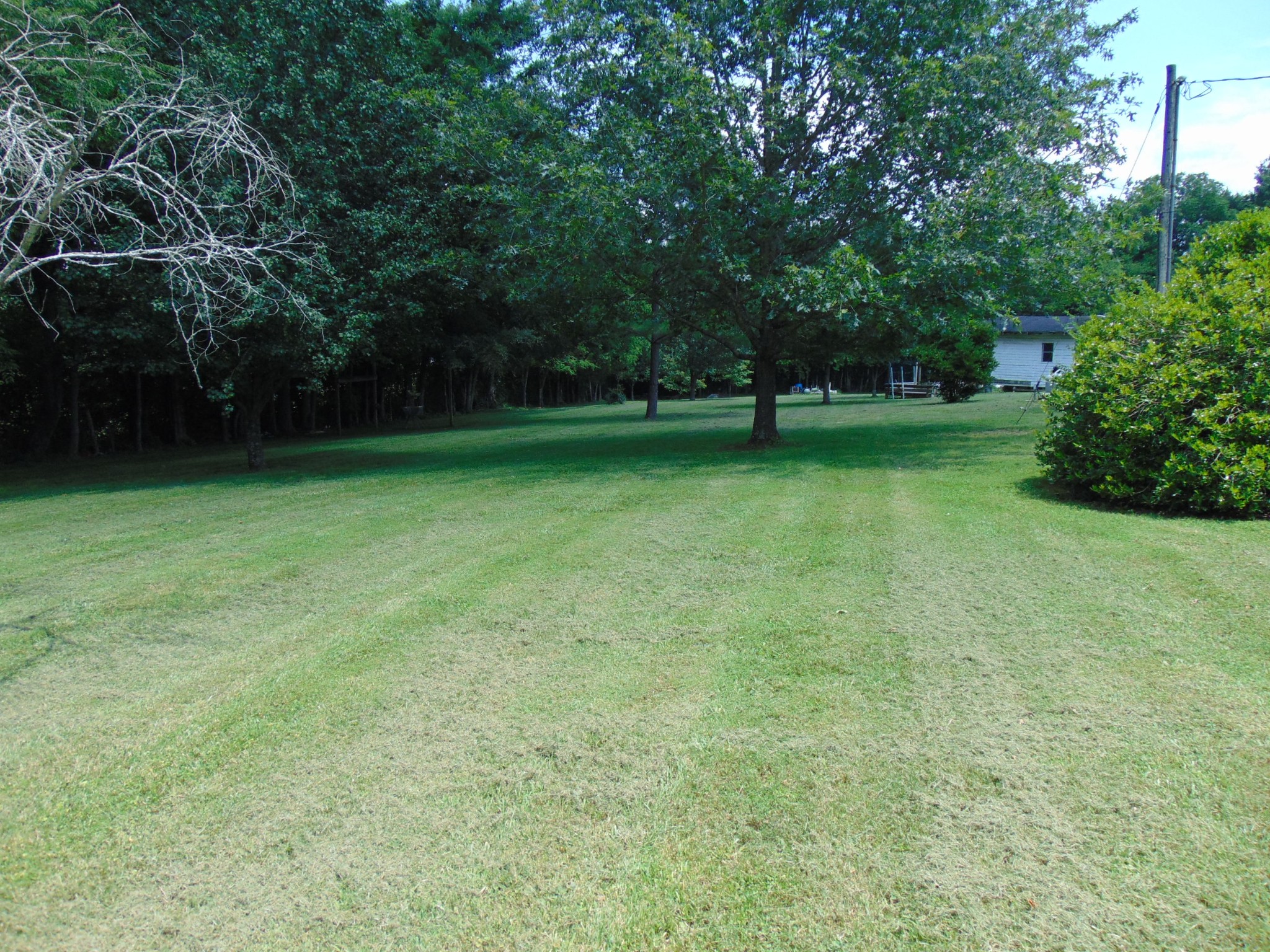 1361 Yell Road Lewisburg, TN 37091 - Photo 20 of 24 a view of a trees in a yard