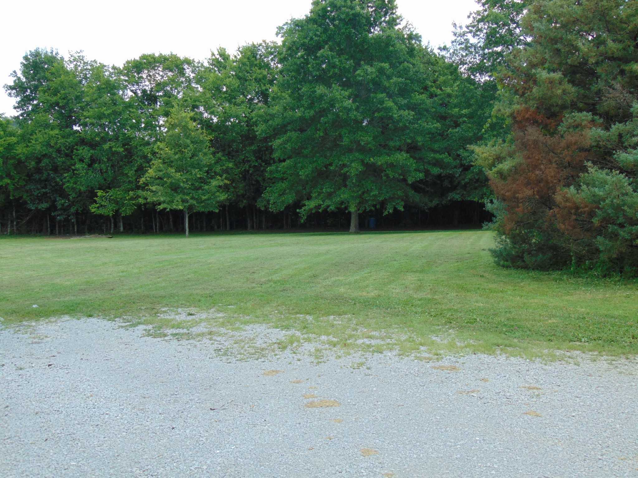 1361 Yell Road Lewisburg, TN 37091 - Photo 21 of 24 a view of a field with a trees in the background