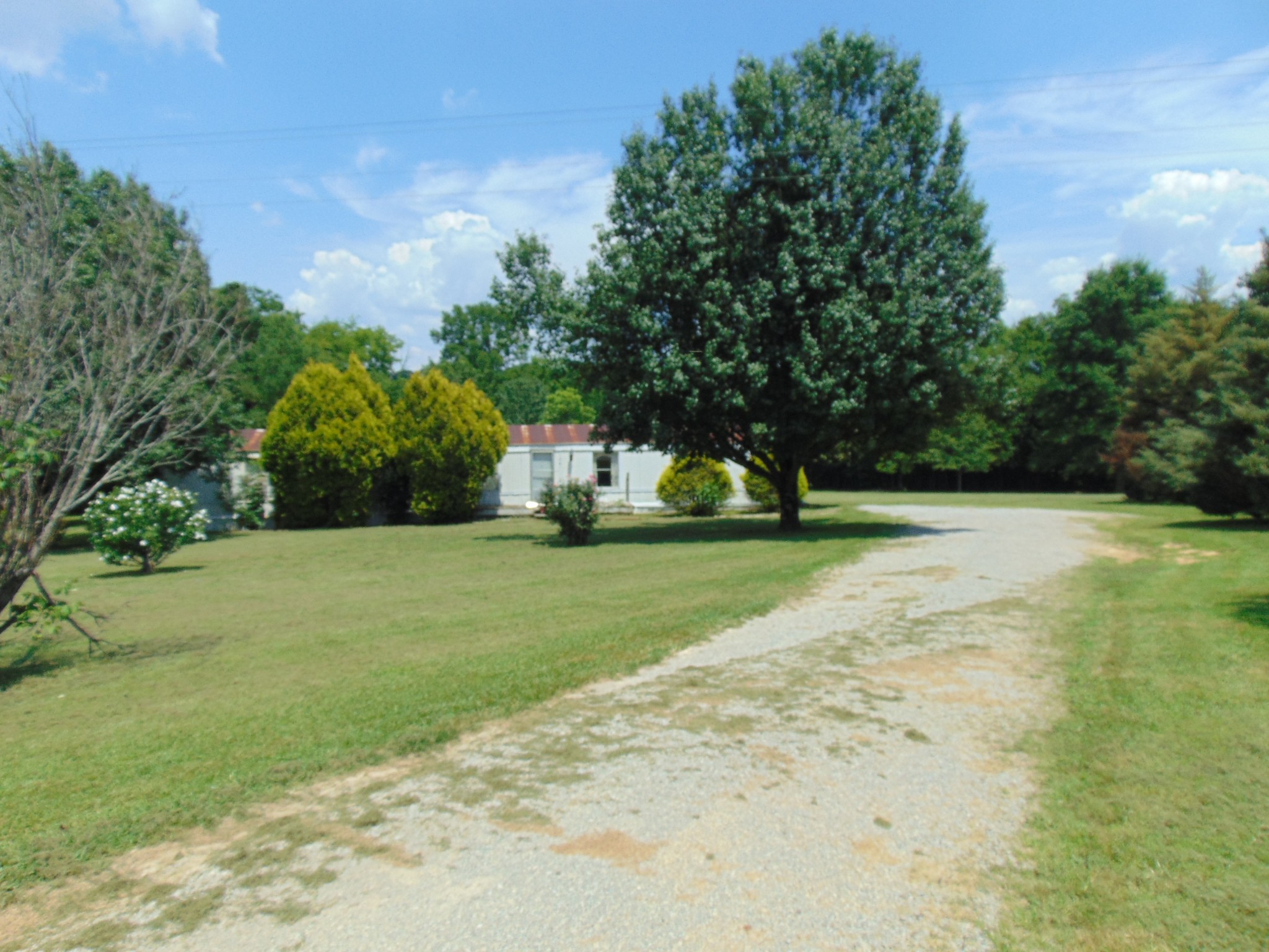 1361 Yell Road Lewisburg, TN 37091 - Photo 23 of 24 a view of a park with large trees