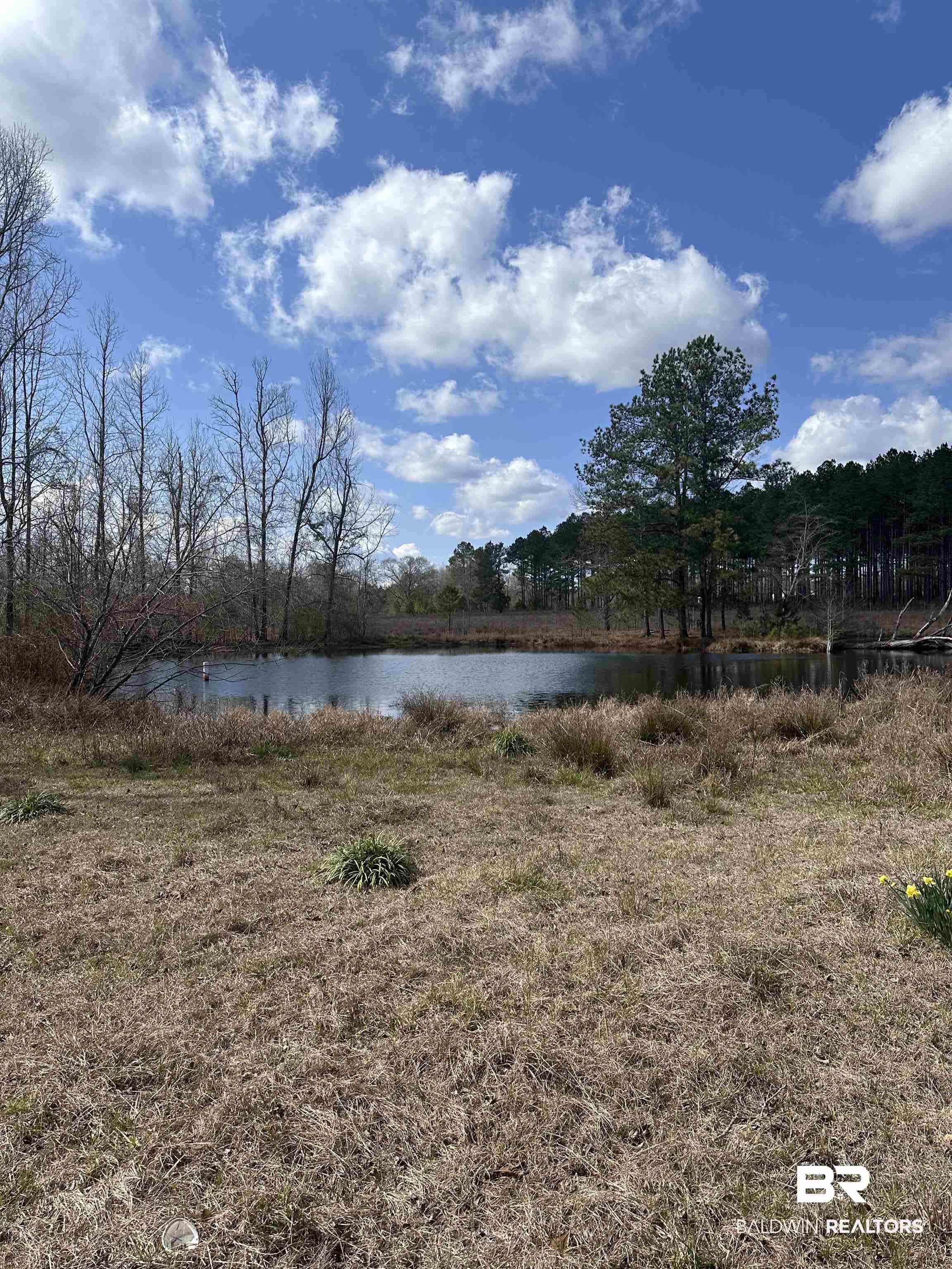 699 Wilcox Road Evergreen, AL 36401 - Photo 1 of 3