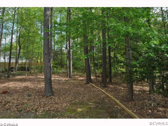 2525 Brookforest Road Midlothian, VA 23112 - Photo 10 of 11 a backyard of a house with lots of green space