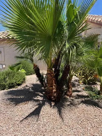 $2,395 | 5701 West Jupiter Way, Chandler, AZ 85226