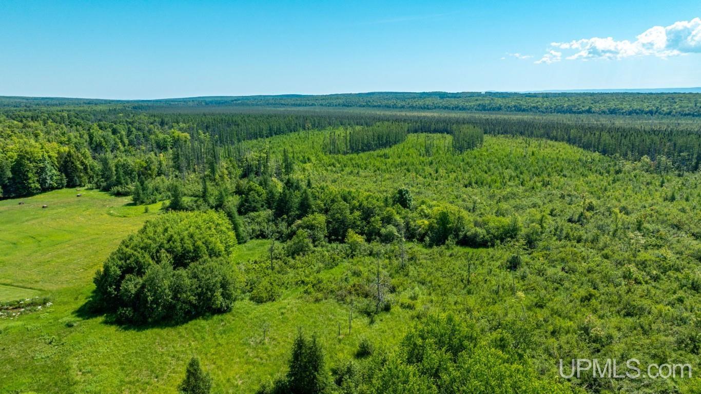 16995 Grist Mill Road Baraga, MI 49908 - Photo 58 of 58