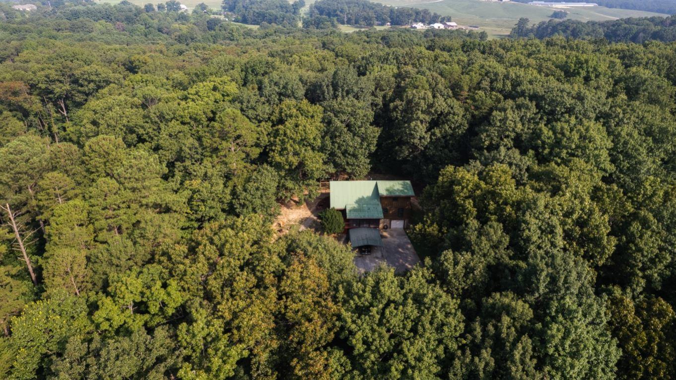 878 Wood Station Road Rock Spring, GA 30739 - Photo 6 of 67 6