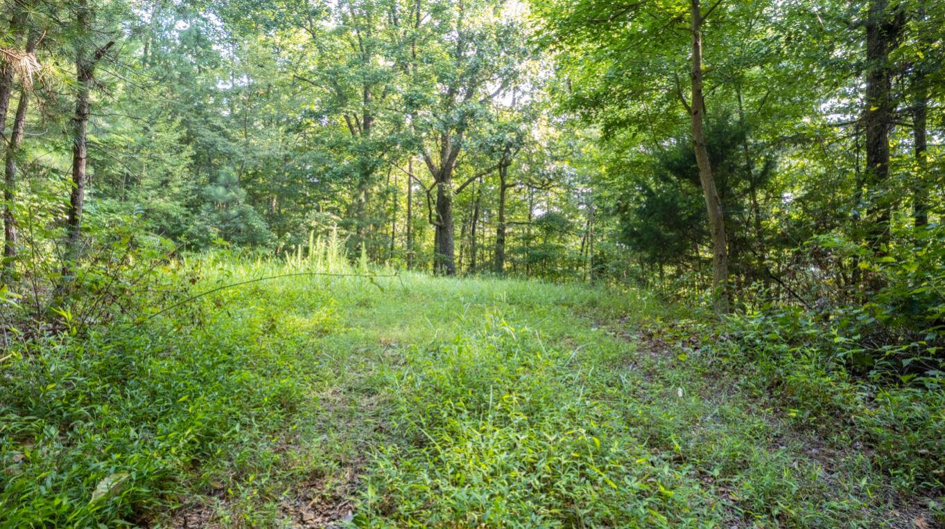 878 Wood Station Road Rock Spring, GA 30739 - Photo 53 of 67 15