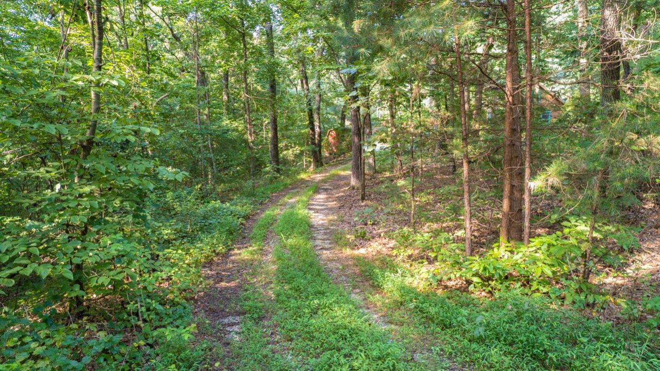878 Wood Station Road Rock Spring, GA 30739 - Photo 54 of 67 16