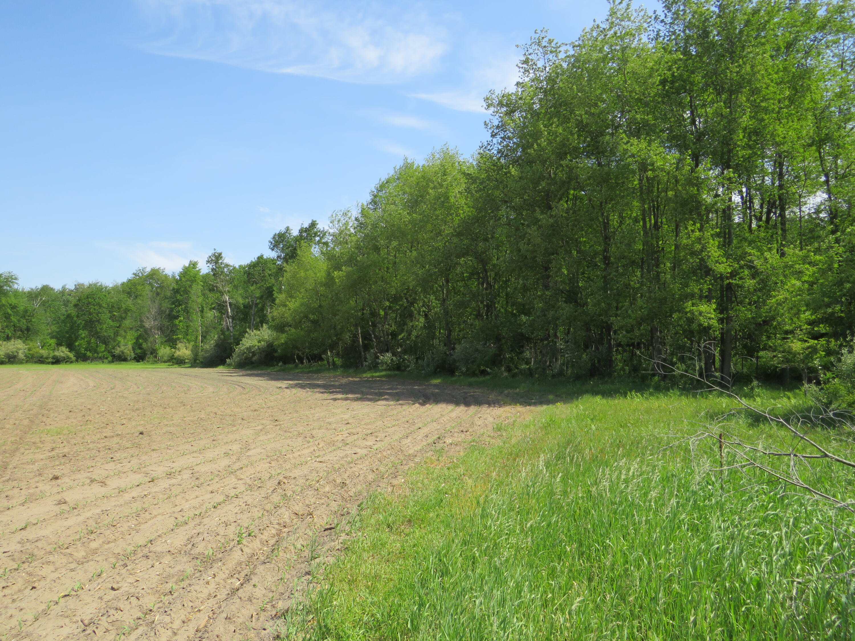 Vl South Elkton Road Owendale, MI 48754 - Photo 18 of 39 IMG_6491
