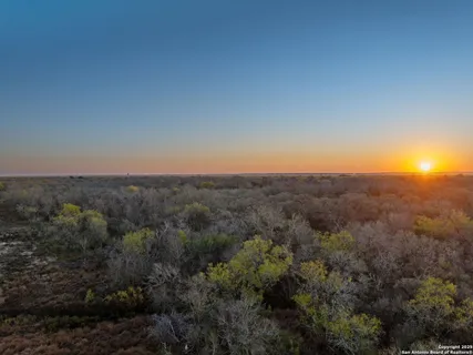 a view of a city with lush green forest