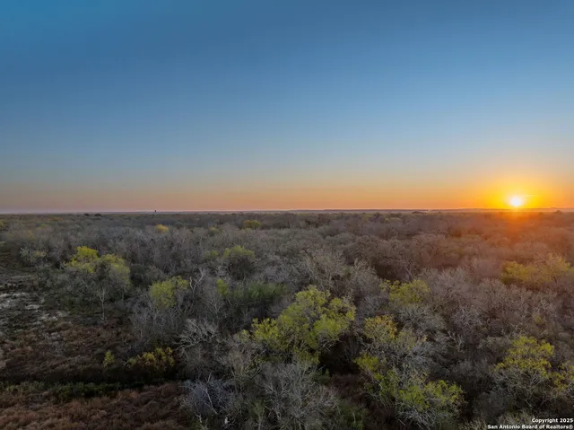 a view of a city with lush green forest