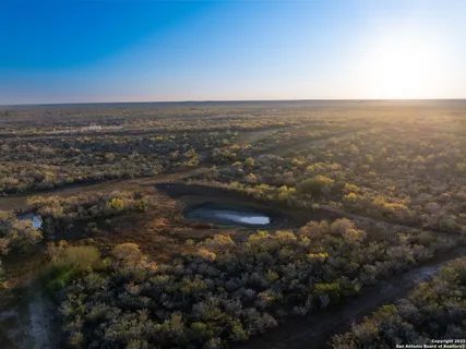 a view of a yard with large trees