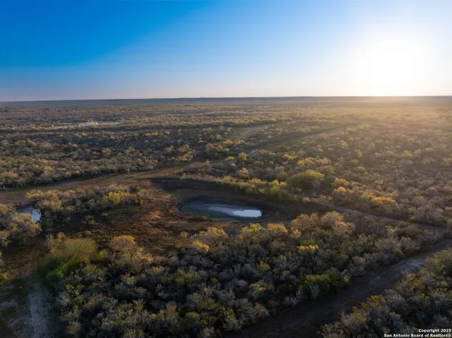 a view of a yard with large trees