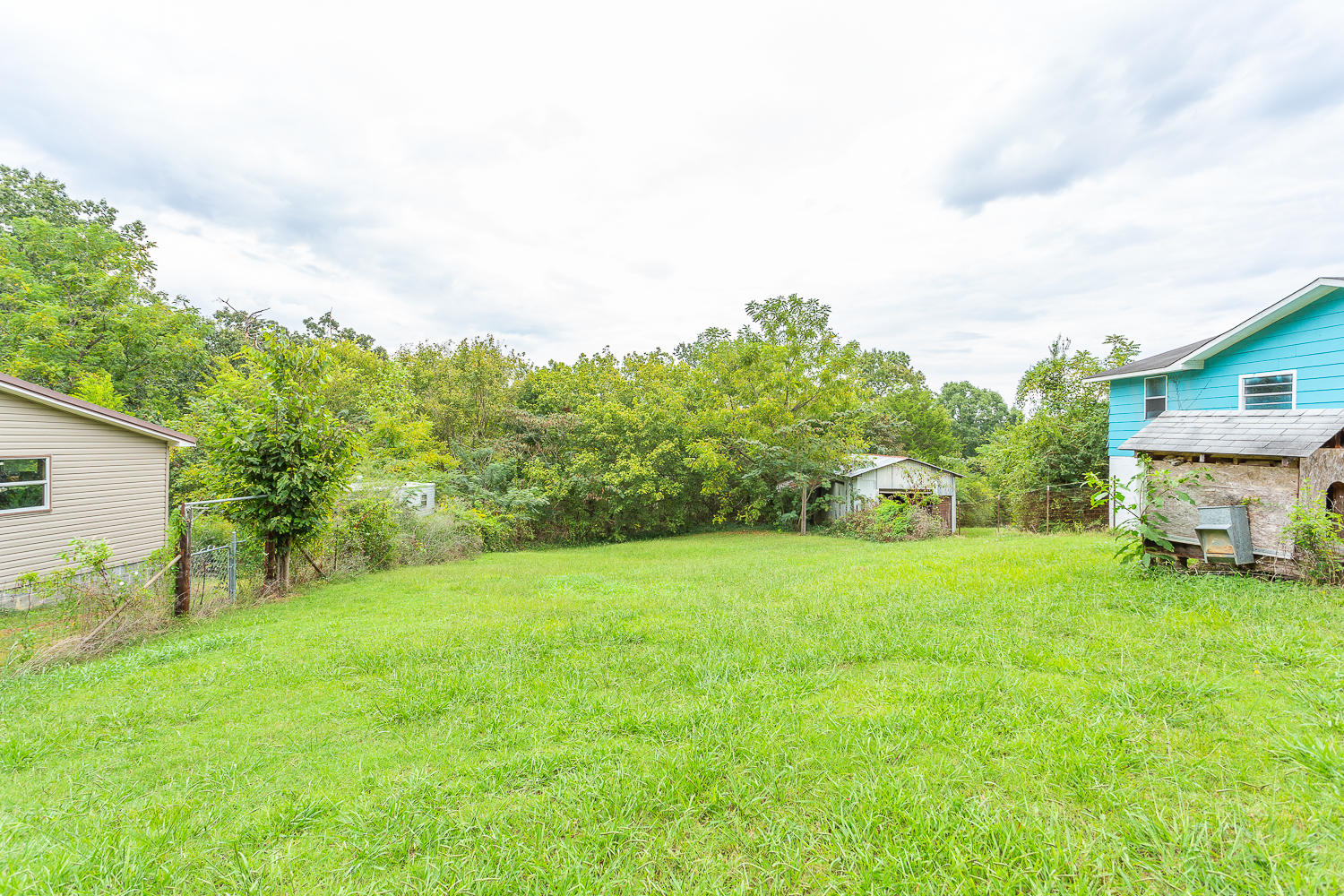 141 Hilltop Road Ringgold, GA 30736 - Photo 11 of 43 141 Hilltop HD -55