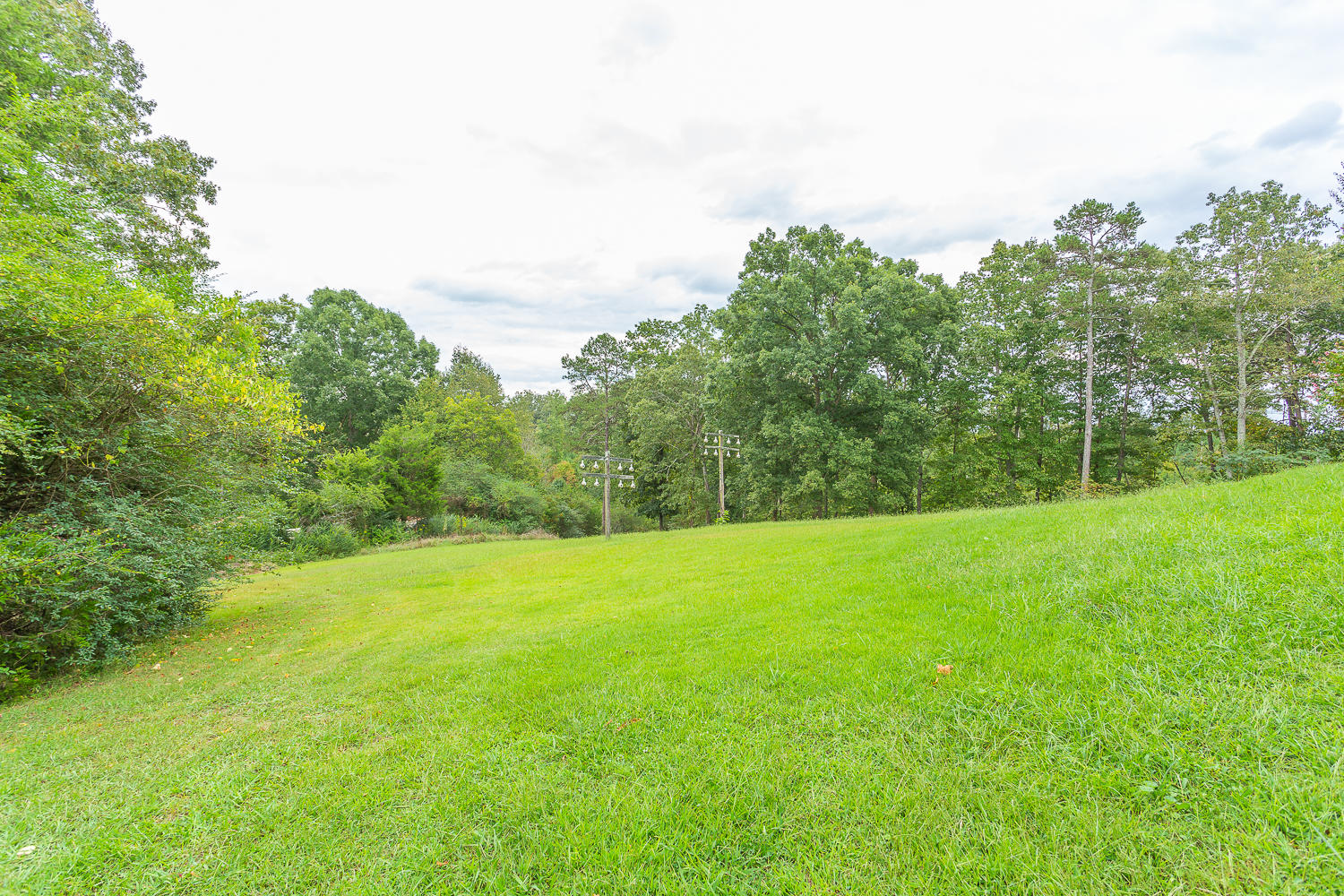 141 Hilltop Road Ringgold, GA 30736 - Photo 9 of 43 141 Hilltop HD -18