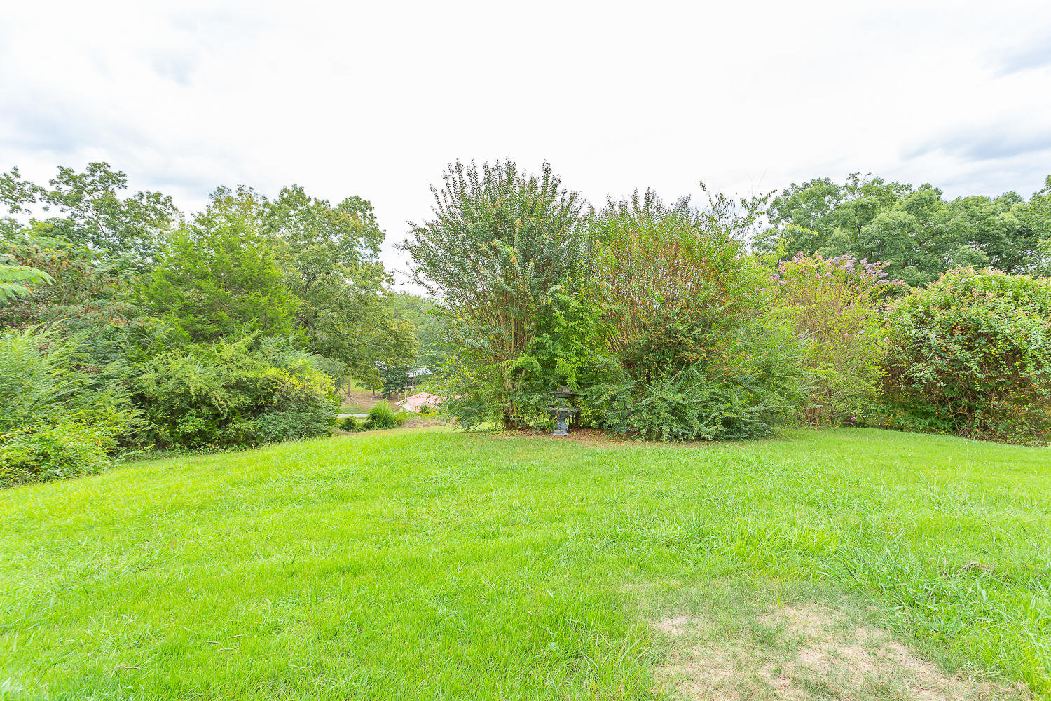 141 Hilltop Road Ringgold, GA 30736 - Photo 10 of 43 141 Hilltop HD -21