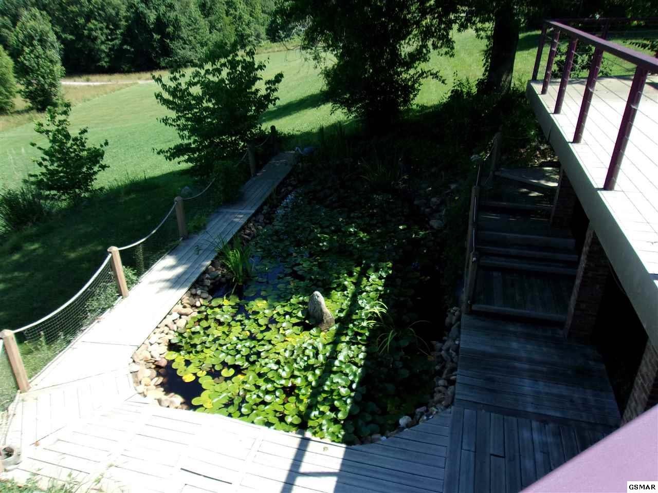 984 Harrison Ferry Road White Pine, TN 37890 - Photo 8 of 36 Gallery Image 8