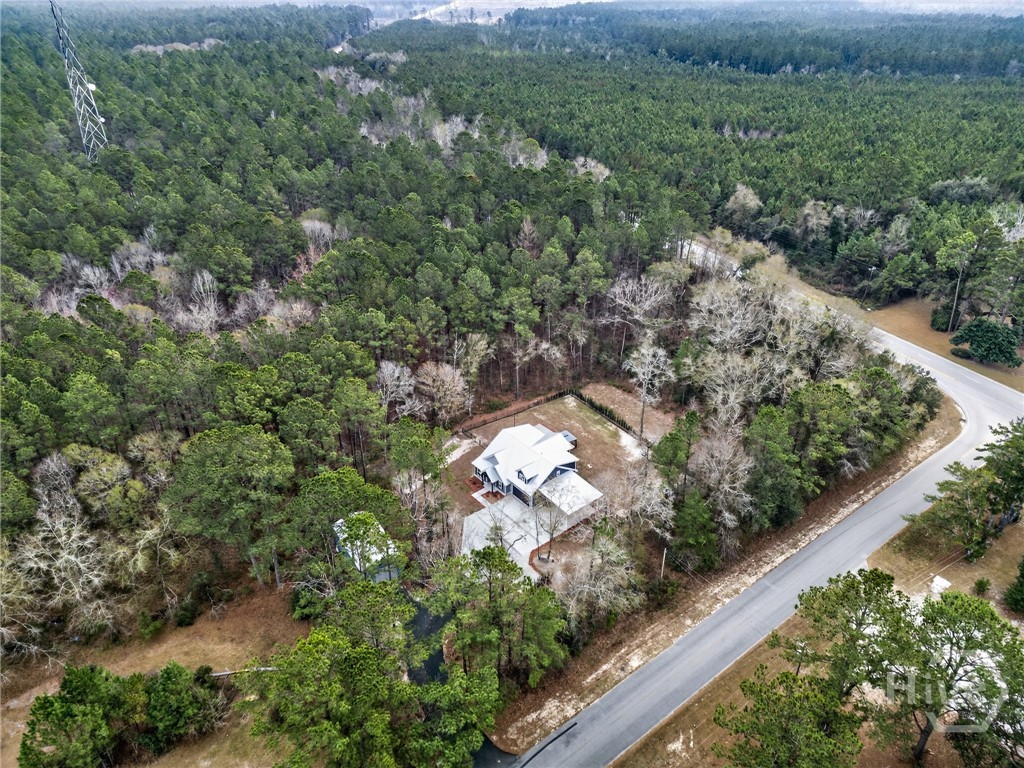 80 Alma Flournoy Road Northeast Ludowici, GA 31316 - Photo 9 of 66