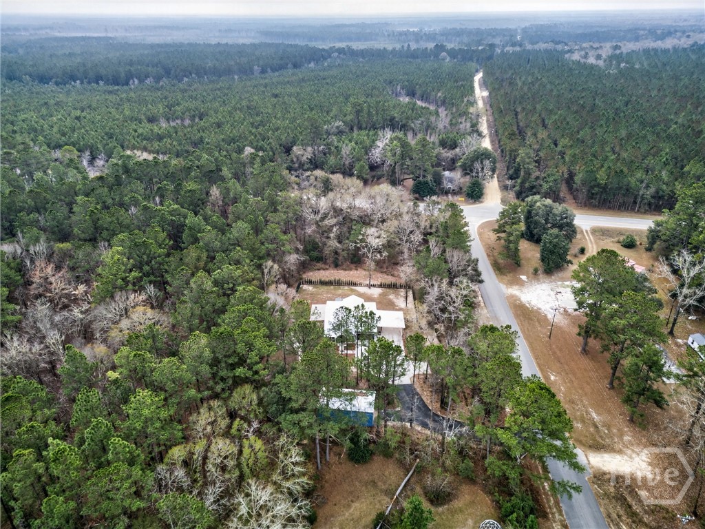 80 Alma Flournoy Road Northeast Ludowici, GA 31316 - Photo 10 of 66