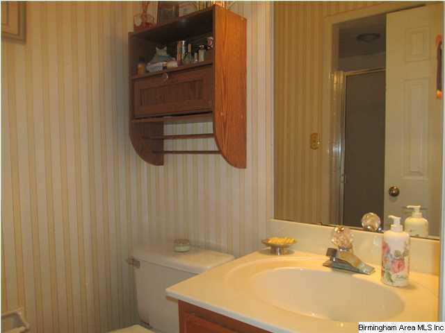 596 Signal Valley Trail Chelsea, AL 35043 - Photo 10 of 30