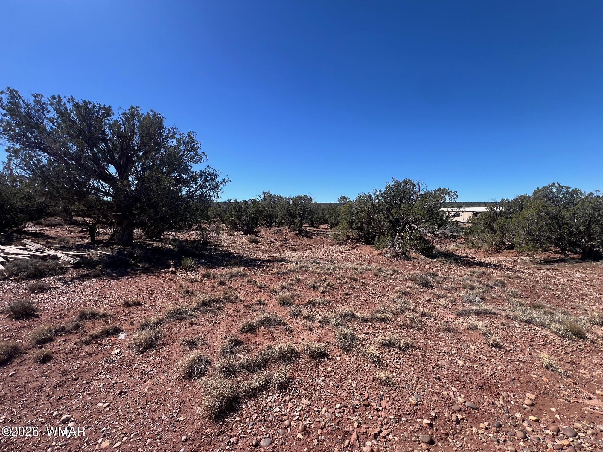 4252 Colt Road Snowflake, AZ 85937 - Photo 20 of 28