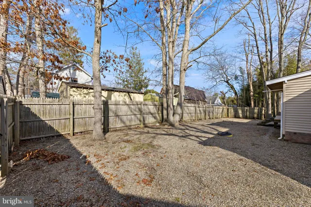 a view of a backyard with a tree