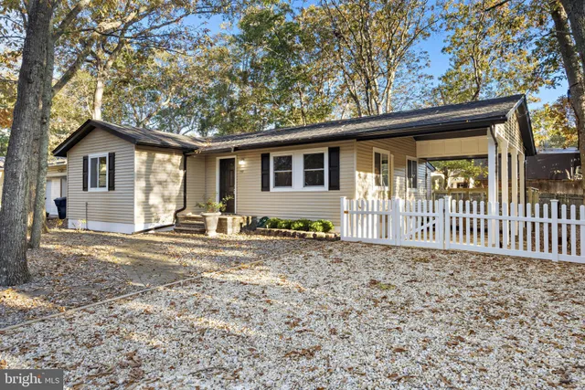 a view of a house with a small yard and a large tree