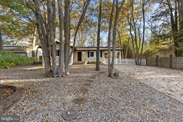 front view of a house with a large tree