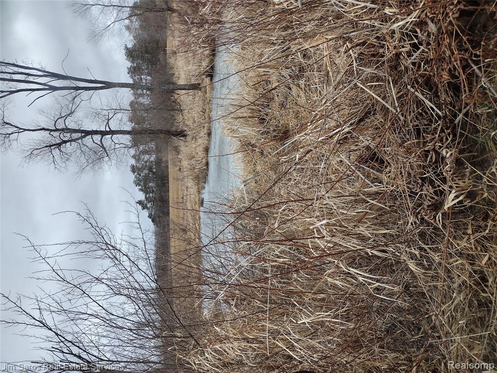 4771 East County Line Road South Branch, MI 48761 - Photo 10 of 13