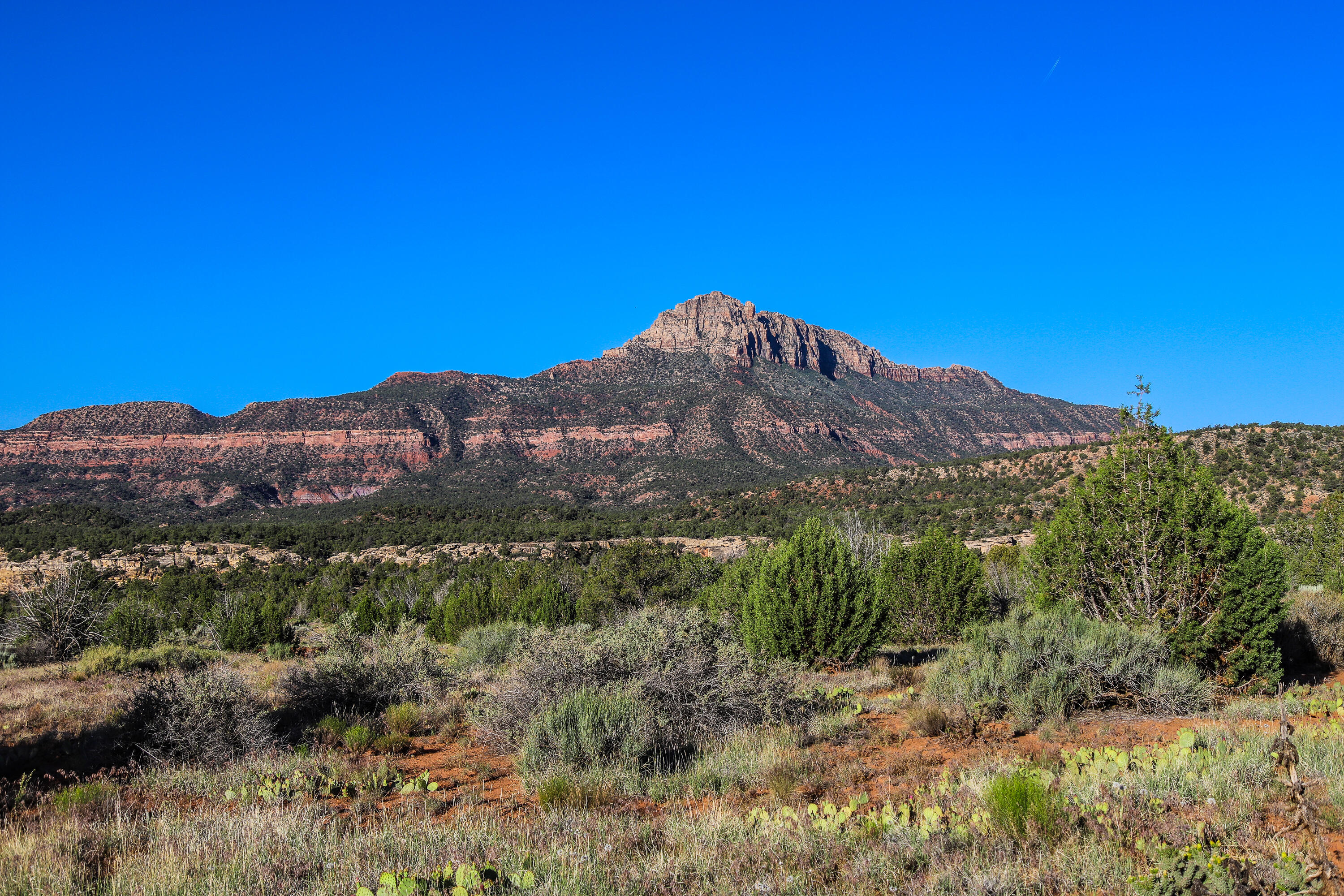 Carmel Road Rockville, UT 84763 - Photo 44 of 53 20260511-IMG_5382