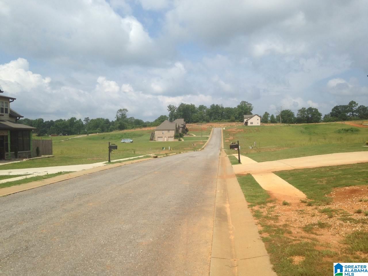0 Bella Ridge, Unit 111 Lincoln, AL 35096 - Photo 9 of 12